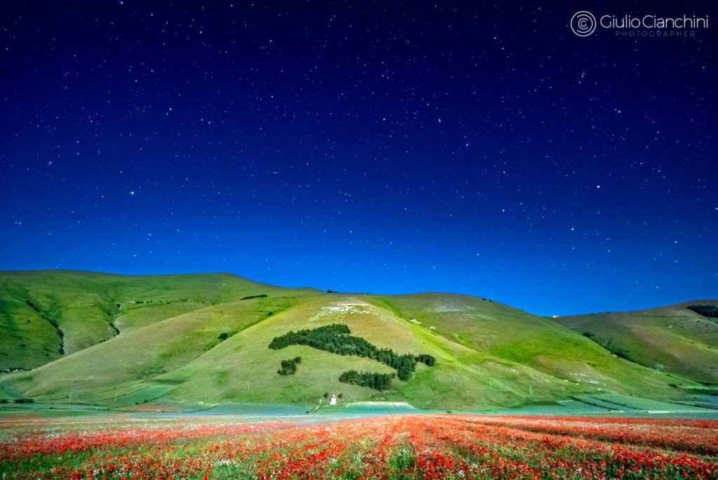 Fiori e stelle a Castelluccio_7