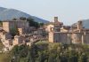 UMBRIA: RACCOLTO POMODORO DA RECORD Montone Pg.