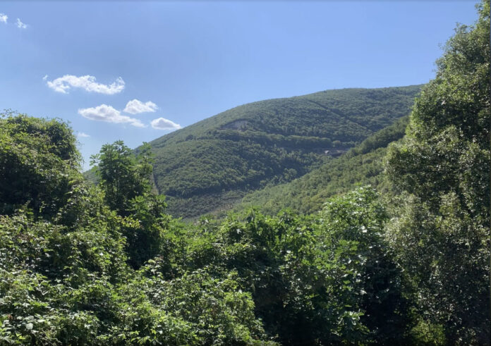 umbria-boschi