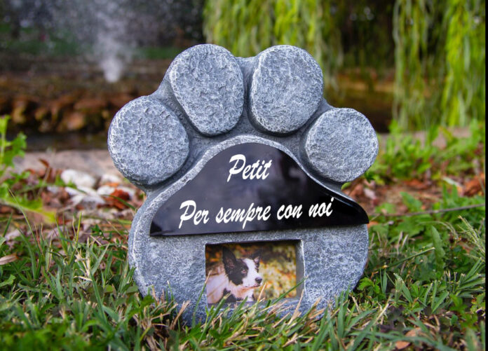 cimitero degli animali cimitero degli animali